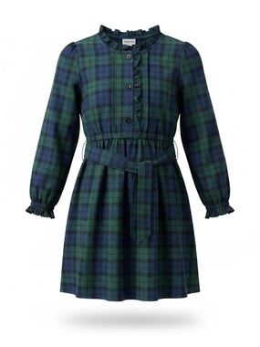 J.Crew Navy Green Plaid Long Sleeve Dress.